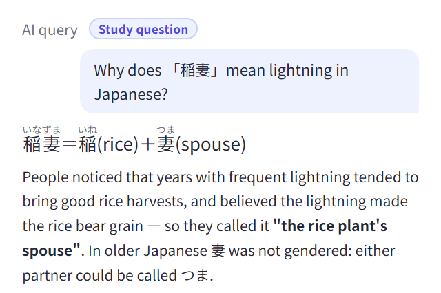 Screenshot of asking the AI a question about Japanese